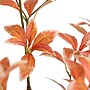 Nearly Natural 4.5' Autumn Pieris Artificial Fall Tree (T4737)~#|#~15D44013-4376-47C4-B69239F1BDBD76EB_sc7
