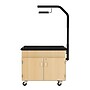 Diversified Woodcrafts Hydroponics Growing Center Table, Maple/Black (HGCMB)~#|#~15D69273-4D39-45E9-88E426C2173CDF51_sc7