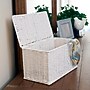 Household Essentials Small Wicker Basket with Lid in Handwoven Paper Rope and Steel Frame, Natural (HHML-7113)~#|#~15E145C8-F789-4115-AF32059829185F11_sc7