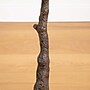 Nearly Natural 4' Autumn Rustic Maple Artificial Fall Tree (T4829)~#|#~15E83467-4AAA-4336-A2AC31C736818D1B_sc7