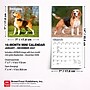 2027 BrownTrout Beagles 7" x 7" Monthly Wall Calendar, Assorted Colors (9798330709885)~#|#~15F3EACA-4B9E-4F7A-A9A4D41A08ACB694_sc7