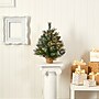 Nearly Natural 2' Frosted Pine Artificial Christmas Tree in Burlap Base (T1694)~#|#~15FEEA42-7976-45AC-A5757C075751EA82_sc7