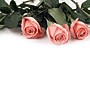 Great Papers! Pink Rose Petals Letterhead, Multicolor, 80/Pack (2013192)~#|#~160454F2-9E2A-459B-873D4FAF38A8B602_sc7
