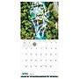 2027 TF Publishing Mexico 12" x 12" Monthly Wall Calendar, Multicolored (27-1046)~#|#~160B069A-C194-4BB4-BC77F2F632DC6E27_sc7