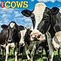 2027 Willow Creek Cows 12" x 12" Monthly Wall Calendar, Assorted Colors (59913)~#|#~16188CC8-1A7A-4DCD-896C7587A10B305F_sc7