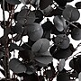Nearly Natural Pre-Lit Artificial Halloween Black Eucalyptus Tree, 7' (T5224)~#|#~163A79BA-F54E-4F68-B592AC6A27286E5C_sc7