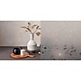 Artscape Canopy Window Film, 36" x 72" (02-3754)~#|#~164D0A43-8D01-49AF-B05C62AF00DCE685_sc7