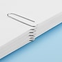 Staples Smooth Jumbo Paper Clips, Silver, 100 Clips/Pack (A7026600A)~#|#~16553BB6-5C89-4EBA-B52A9A04833E8F46_sc7