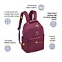 Delsey Paris Victoire Laptop Backpack, Burgundy (40210360104)~#|#~1663687E-433B-468D-9BD60B144EB81A97_sc7
