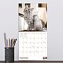 2027 TF Publishing Kittens 7" x 7" Monthly Wall Calendar, Multicolored (27-2002)~#|#~1666F0E2-A09E-4C1E-9A445073B354D285_sc7