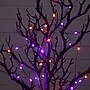 Nearly Natural Pre-Lit Artificial Halloween Black Spooky Twig Tree, 2' (T5233)~#|#~16707A1E-E604-48D2-A6D81989DBCFED07_sc7