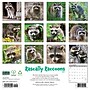 2027 Willow Creek Rascally Raccoons 12" x 12" Monthly Wall Calendar, Assorted Colors (62029)~#|#~1671A522-3A80-47CC-848B656ADBAE26C4_sc7
