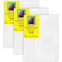 Strathmore 300 Series Primed White Stretched Canvas, 9" x 12" , 3/Pack (STT31309-3)~#|#~167F2854-1119-45F6-84A9B997F0E04428_sc7