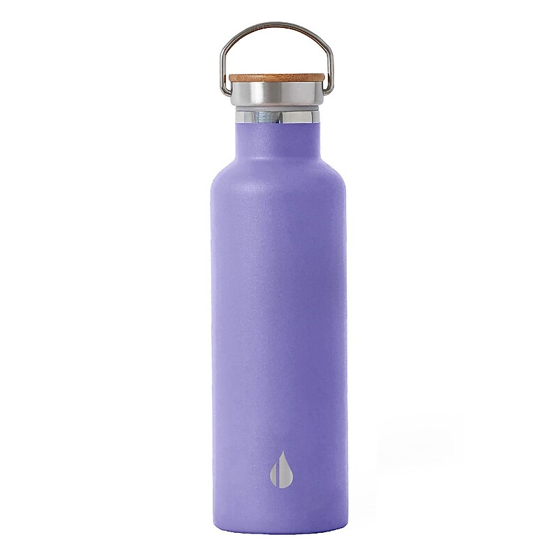 Elemental Classic Stainless Steel Double Wall Insulated Water Bottle, 25 oz., Lavender (EB25LV1) image 1