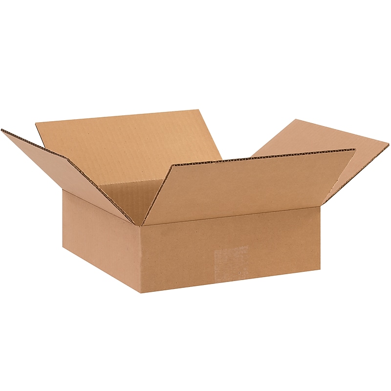 10" x 10" x 3" Shipping Boxes, 32 ECT, 25/Bundle (BS101003) image 1