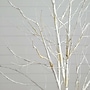 Nearly Natural 6' Pre-Lit Artificial White Birch Tree with 90 White LED Lights (T4931)~#|#~16A5E6BF-0D95-45E4-86A3528AFD89B5B4_sc7