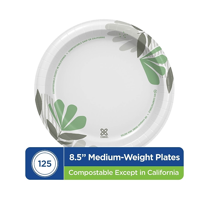 Dixie Pathways 8 1/2