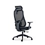 Raynor Group Torque Ergonomic Fabric/Mesh Swivel Manager Chair, Black (TORQUE-BF-BLK)~#|#~16AC45CD-9706-432F-B73637F80500F903_sc7