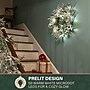 Fraser Hill Farm 24” Real Feel Pre-Lit Artificial Wreath (FFRF024W-5MSN)~#|#~16C48172-220C-4B53-B42B5F46445B4BDA_sc7