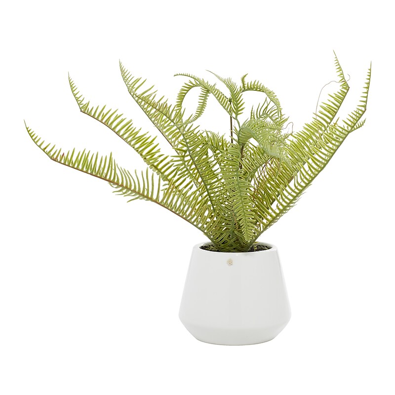 Uma Fern in Decorative Vase (64086) image 1