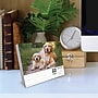 2026 Willow Creek Dogs 6.2" x 5.4" Day-to-Day Calendar (54147)~#|#~16E966C1-8FE1-4FCC-BD8D709A7EFC61E4_sc7