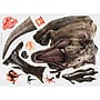 York Wallcoverings Jurassic World 2 T-Rex Children's Decals, Music, Movies & TV (RMK3797SLM)~#|#~16FC4584-8269-4ACD-A42924989B0610E6_sc7