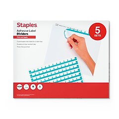 Binder Staples Heavy Duty Con Vista De 3 Anillas, 3 Pulgadas, Gris