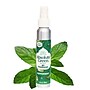 Absolute Green Air Freshener Spray, Peppermint Scent, 4 oz., 2/Pack (PEPAIR-2PK)~#|#~170FF18E-7D54-4E69-BF4E5CCD2B889374_sc7