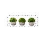 Monarch Specialties Inc. 5" Artificial Plant in Pot, 3/Set (I 9589)~#|#~17237AE9-C9C4-453E-83D0EB3384E5A6A4_sc7