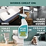 Simple Green Lime Scale Remover, Wintergreen, 32 oz Spray Bottle, 12/Carton (SMP50032)~#|#~1729AD61-B118-4D34-A9DA58FE9B709614_sc7