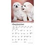 2027 BrownTrout Bichon Frise Puppies 7" x 7" Monthly Wall Calendar, Assorted Colors (9798330709892)~#|#~173C1F4B-3F47-424F-9FFA70F05AFFC2D1_sc7