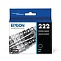 Epson 222 Black Standard Yield Ink Cartridge (T222120-S)~#|#~1751C19A-B56E-4723-BCFACB2CFCFF7C37_sc7