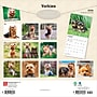 2026 BrownTrout Yorkshire Terriers 12" x 12" Monthly Wall Calendar (9798330706464)~#|#~1769E1C8-93C2-44D8-933500B537DFDB20_sc7