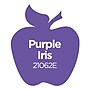 Apple Barrel Acrylic Paint Matte, 8oz., Purple Iris, 6/Pack (APP21062E-6)~#|#~17744033-E95B-467E-BEE7DA367E80CCD9_sc7