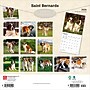2026 BrownTrout Saint Bernards 12" x 12" Monthly Wall Calendar (9798330705405)~#|#~177B300F-B509-4B0C-B5A1FA259C317251_sc7