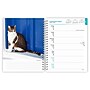 2027 BrownTrout Cat Lovers 6.5" x 7.8" Calendar Year Weekly Standard Planner, Multicolor (9798330709427)~#|#~178B1320-B755-4736-A091C91C65CFB311_sc7