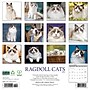 2026 Willow Creek Ragdoll Cats 12" x 12" Monthly Wall Calendar (52549)~#|#~17B32DAA-1FF3-4E4F-A6710BFF3ED9DAF0_sc7