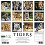 2026 Willow Creek Tigers 12" x 12" Monthly Wall Calendar (52969)~#|#~17C282C7-59AB-4411-BF868F8FDB680AF0_sc7