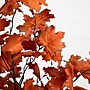 Nearly Natural 5' Autumn Rustic Maple Artificial Fall Tree (T4821)~#|#~17CC1A76-9CDB-4D1E-9825B121E8B68BD2_sc7