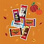 Hershey's, Kit Kat and Reese's Assorted Chocolate Candy Variety Bag, 52.63 oz., 95 Pieces (34000-94707)~#|#~17E99D7E-EA21-4647-9D307CE52C413E16_sc7