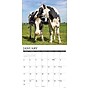 2027 Willow Creek Cows 12" x 12" Monthly Wall Calendar, Assorted Colors (59913)~#|#~18095320-9D28-4DAE-9C71B40A286668DF_sc7