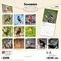 2027 BrownTrout Songbirds 12" x 12" Monthly Wall Calendar (9798330712113)~#|#~180F3320-1D45-48C4-96D491EF877C2F6F_sc7