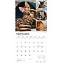 2026 BrownTrout Cat Lovers 12" x 12" Monthly Wall Calendar (9798330702787)~#|#~180F709B-AD12-4CC0-A4FC7C3A52231C0B_sc7