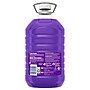 Fabuloso Multi-Purpose Cleaner, Lavender Scent, 169 fl. oz., 3/Carton (153122)~#|#~181702E5-0DA6-43E1-B31C92D8E61914BC_sc7