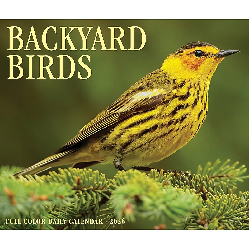 2026 Willow Creek Backyard Birds 6.2" x 5.4" Day-to-Day Calendar (53935) image 1