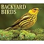 2026 Willow Creek Backyard Birds 6.2" x 5.4" Day-to-Day Calendar (53935)~#|#~1826797F-9543-4B6E-8EFB5B781C10A344_sc7