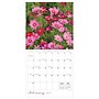 2027 TF Publishing Flowers 10" x 12" Monthly Wall Calendar, Multicolored (27-1034)~#|#~18274F59-1E3E-4288-8B8CFB486F03CFEC_sc7