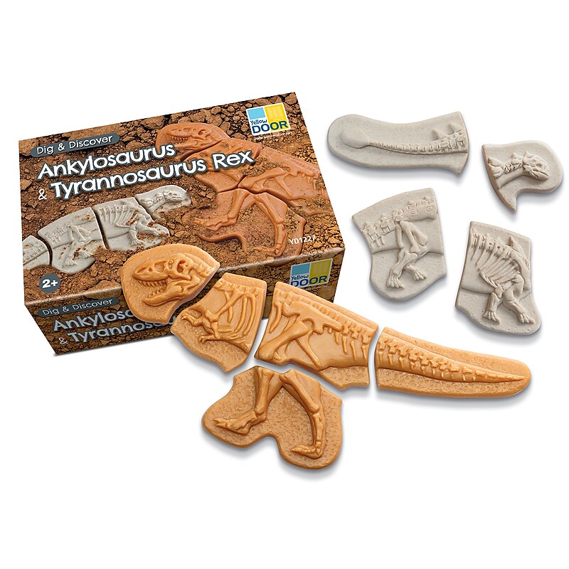 Yellow Door Dig and Discover Ankylosaurus & Tyrannosaurus Rex, Assorted Colors, 9/Set (YUS1227) image 1
