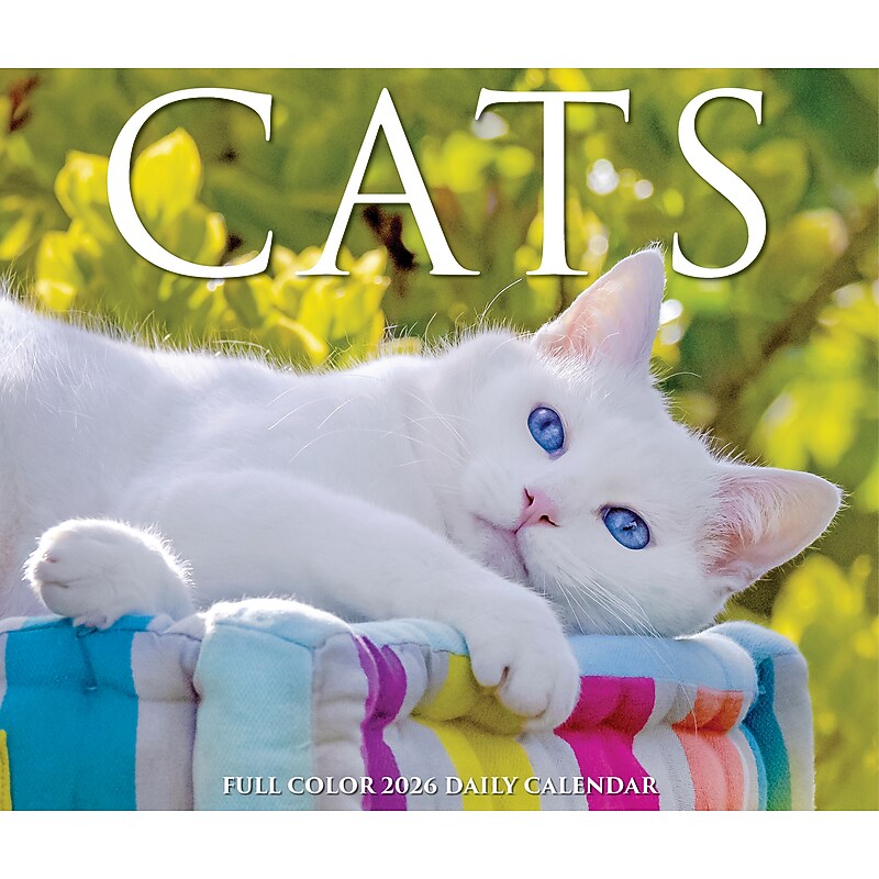 2026 Willow Creek Cats 6.2" x 5.4" Day-to-Day Calendar (54048) image 1