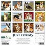 2026 Willow Creek Corgis 12" x 12" Monthly Wall Calendar (50835)~#|#~18334EDA-A2E7-417D-B201365646975911_sc7